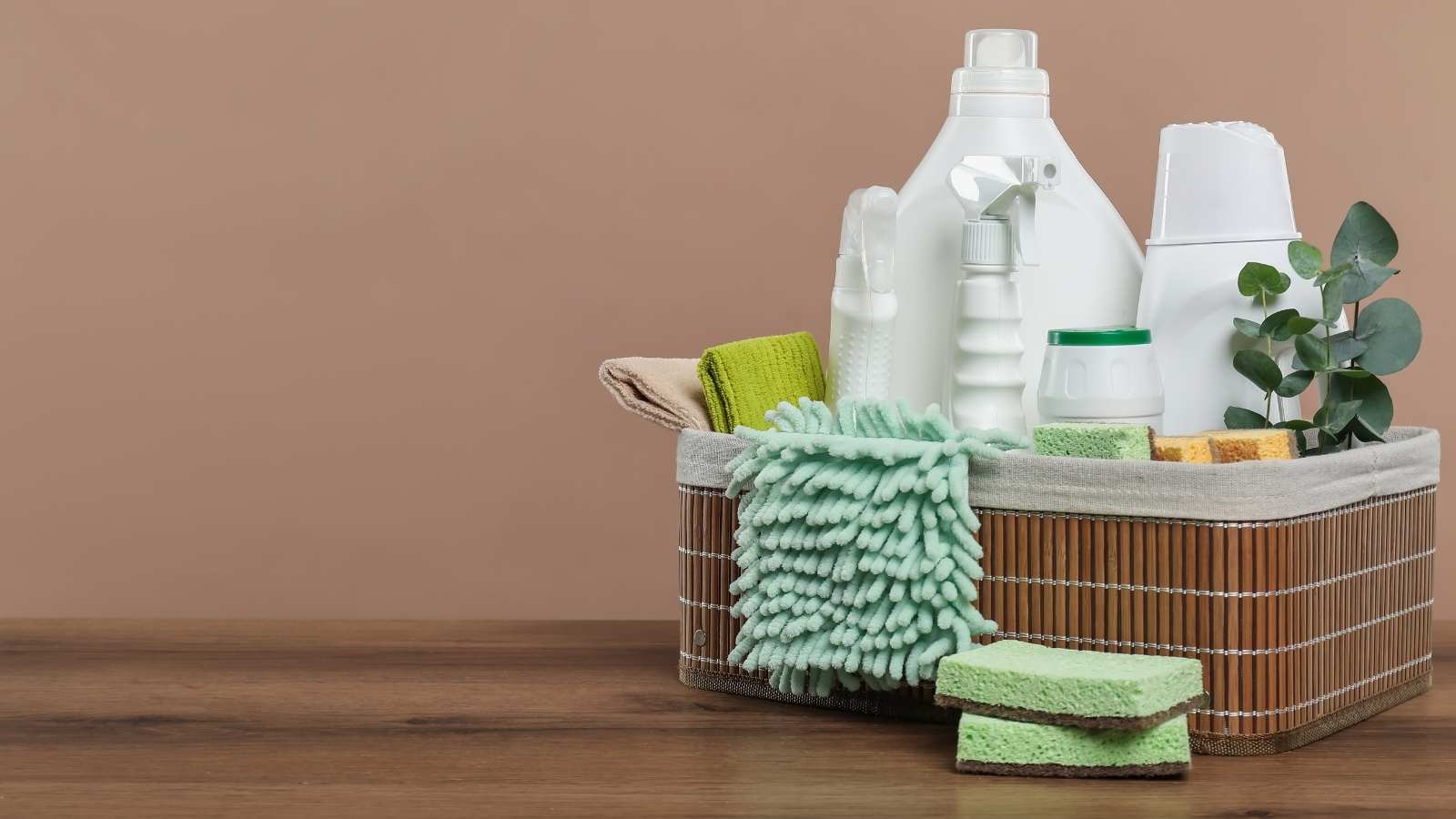 Ökologische Reinigung